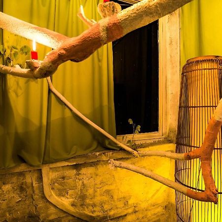Dao Anh Khanh Tree House Hanoi Kültér fotó