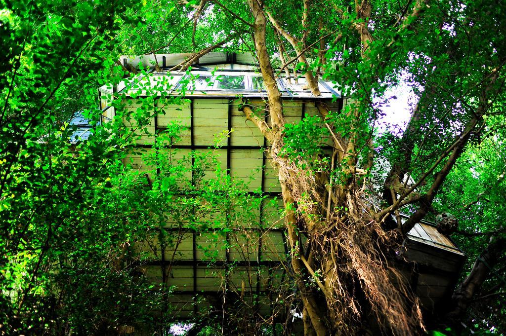 Dao Anh Khanh Tree House Hanoi Szoba fotó
