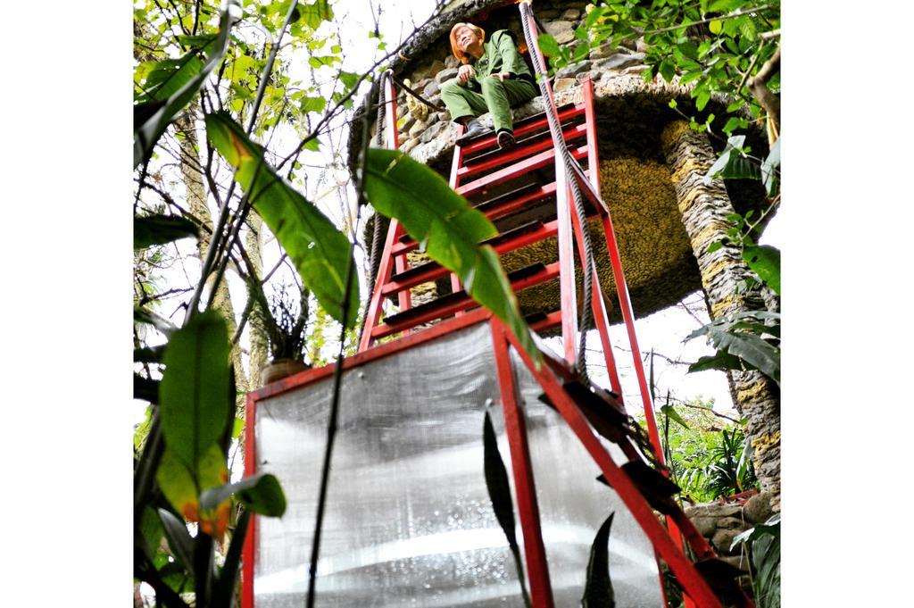 Dao Anh Khanh Tree House Hanoi Szoba fotó