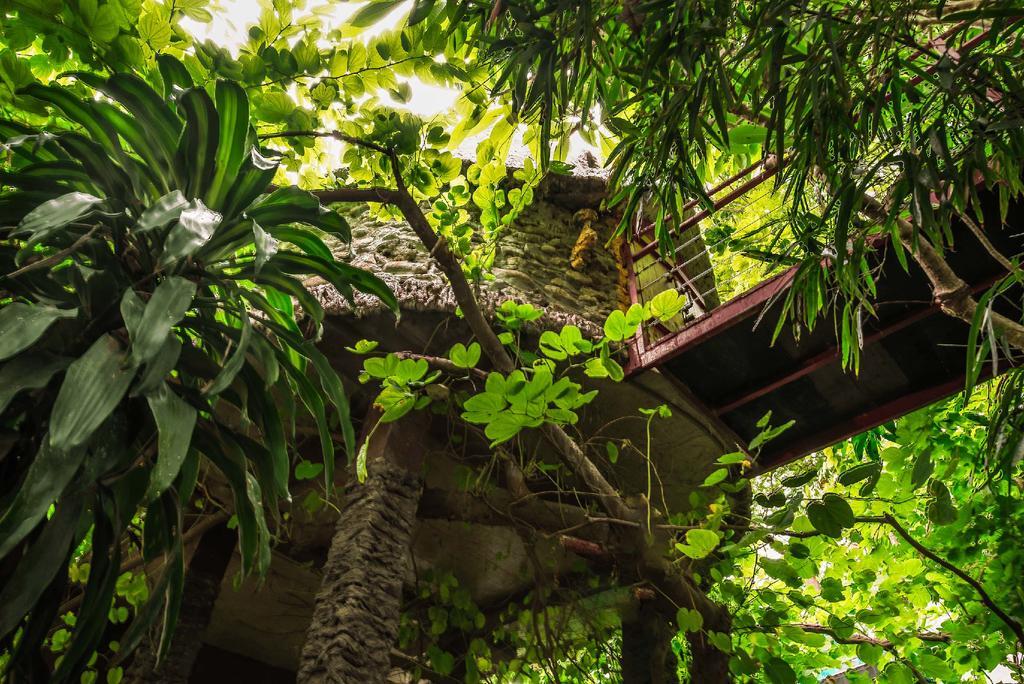 Dao Anh Khanh Tree House Hanoi Kültér fotó