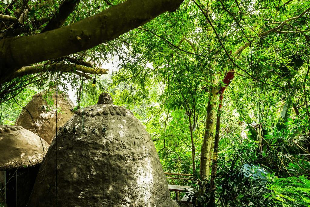Dao Anh Khanh Tree House Hanoi Kültér fotó