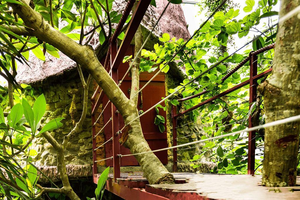 Dao Anh Khanh Tree House Hanoi Kültér fotó