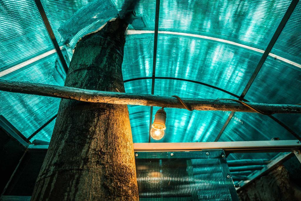 Dao Anh Khanh Tree House Hanoi Kültér fotó