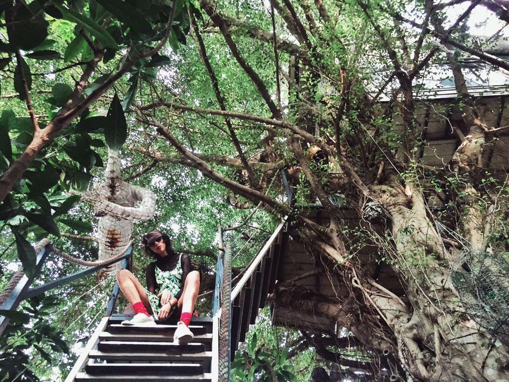 Dao Anh Khanh Tree House Hanoi Kültér fotó
