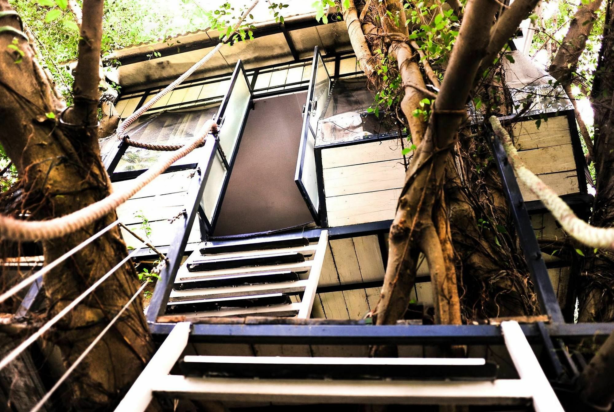 Dao Anh Khanh Tree House Hanoi Kültér fotó